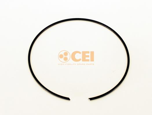 Circlip - CEI