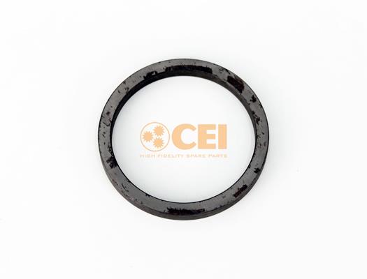 Spațier de șaibă - CEI