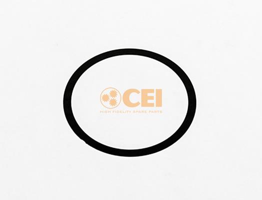 Spațier de șaibă - CEI