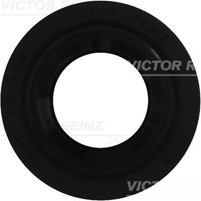 Garnitura capac chiulasa - VICTOR REINZ
