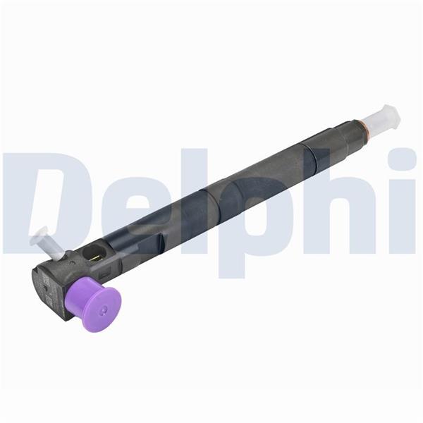 Injector - DELPHI
