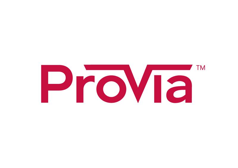 Placute de frana - PROVIA