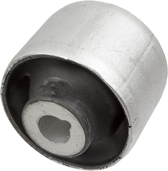 Tufa brațului de control - LEMFOERDER