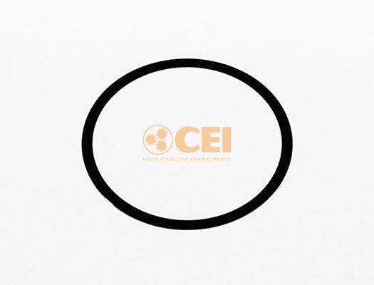 Spațier de șaibă - CEI
