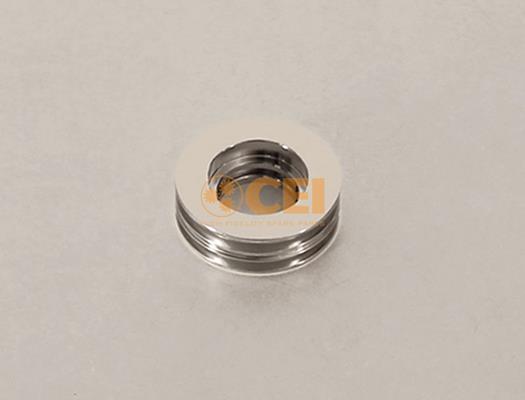 Piston - CEI