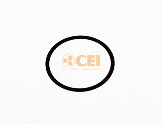 Spațier de șaibă - CEI