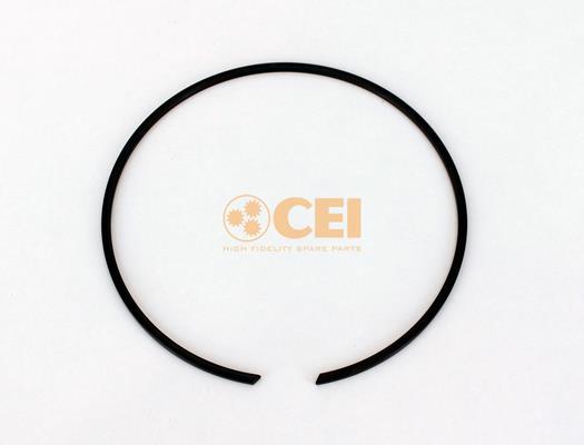 Circlip - CEI