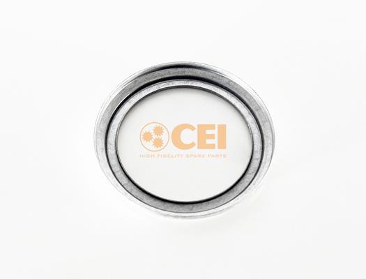Etanșare arbore diferențial - CEI