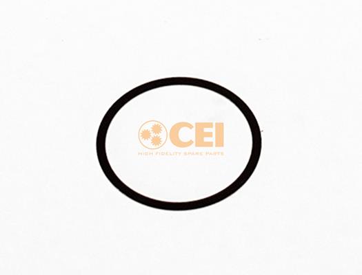 Spațier de șaibă - CEI