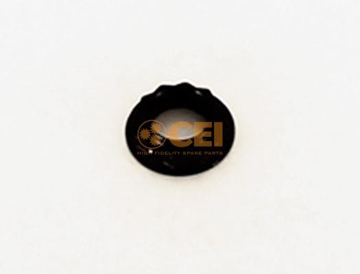 Piulita - CEI