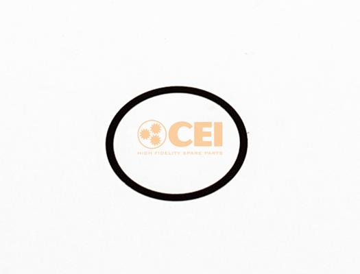 Spațier de șaibă - CEI