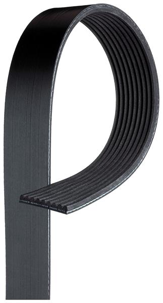 Curea cu caneluri - GATES