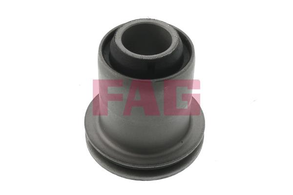 Tufa brațului de control - FAG