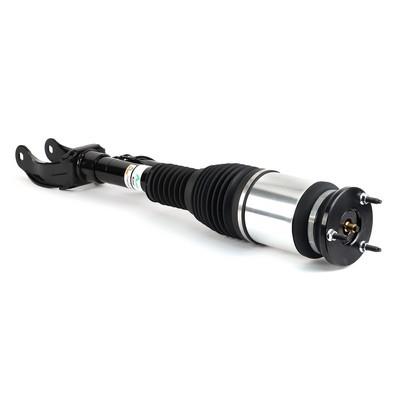 Strut cu arc pneumatic - ARNOTT