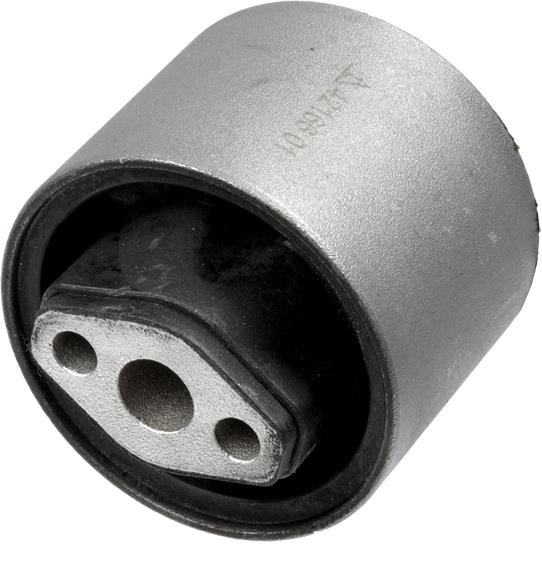 Tufa brațului de control - LEMFOERDER