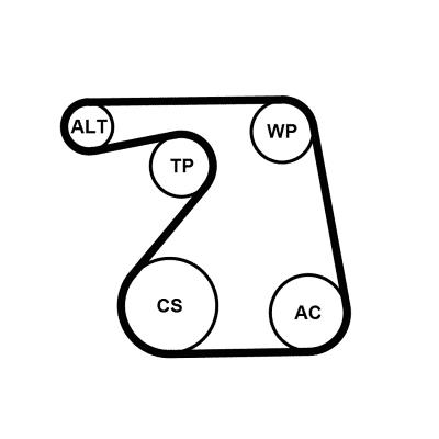 Set curea trapezoidale cu pompă de apă - CONTINENTAL CTAM