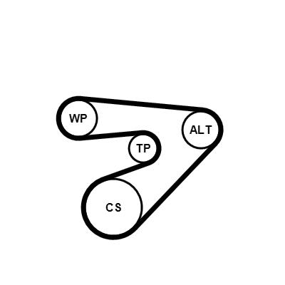 Set curea trapezoidale cu pompă de apă - CONTINENTAL CTAM