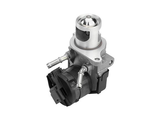 Supapa EGR - BorgWarner