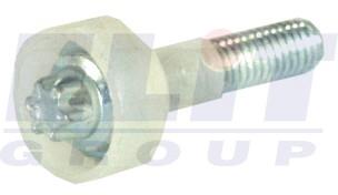 Surub - HC-Cargo