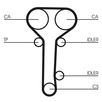 Set curea distributie cu pompa de apa - CONTINENTAL CTAM