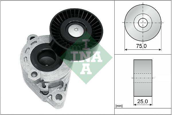 Intinzator curea - INA