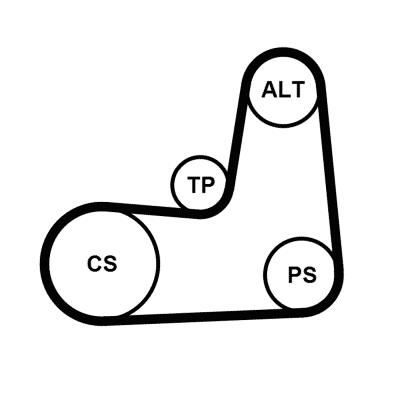 Set curea trapezoidale cu nervuri - CONTINENTAL CTAM