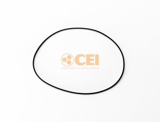 Inel de etanșare - CEI