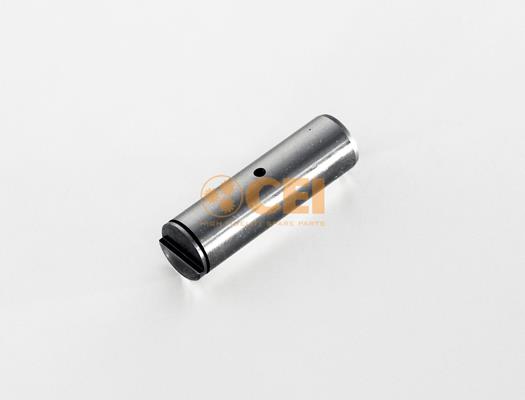Pin - CEI