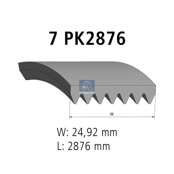 Curea cu caneluri - DT SPARE PARTS