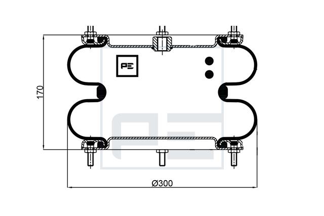 Suspensie pneumatică - PE Automotive