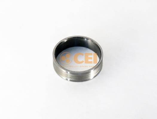 Bush - CEI