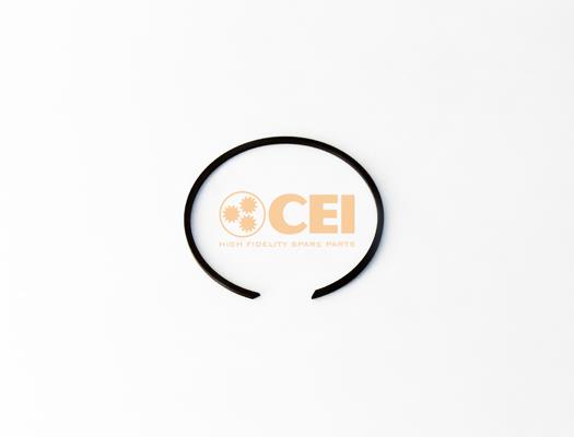 Circlip - CEI