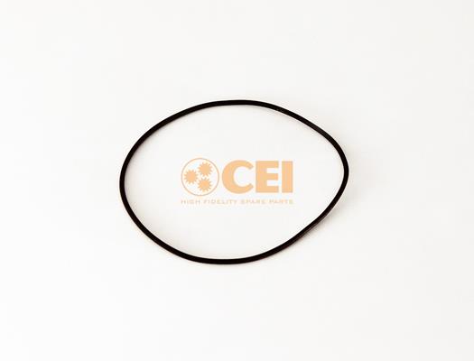 Inel de etanșare - CEI