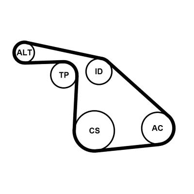 Set curea trapezoidale cu nervuri - CONTINENTAL CTAM