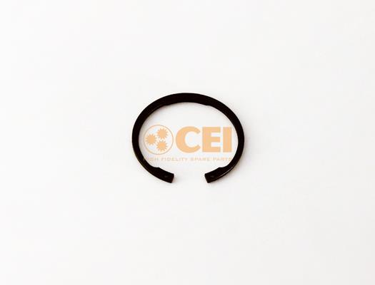Circlip - CEI