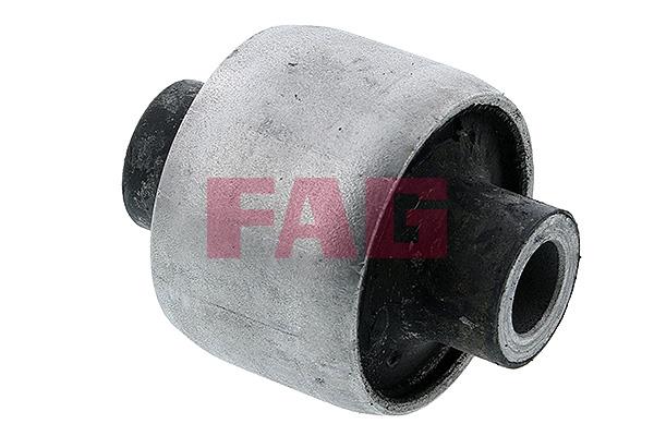 Tufa brațului de control - FAG