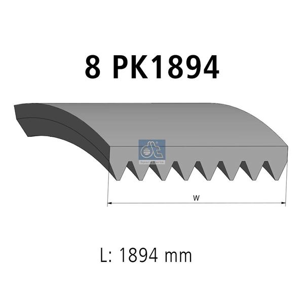 Curea cu caneluri - DT SPARE PARTS