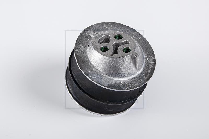 Montarea motorului - PE Automotive