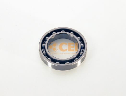 Rulment - CEI