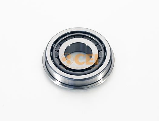 Rulment - CEI