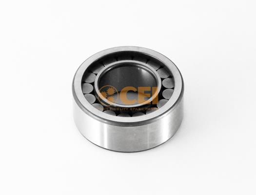 Rulment - CEI