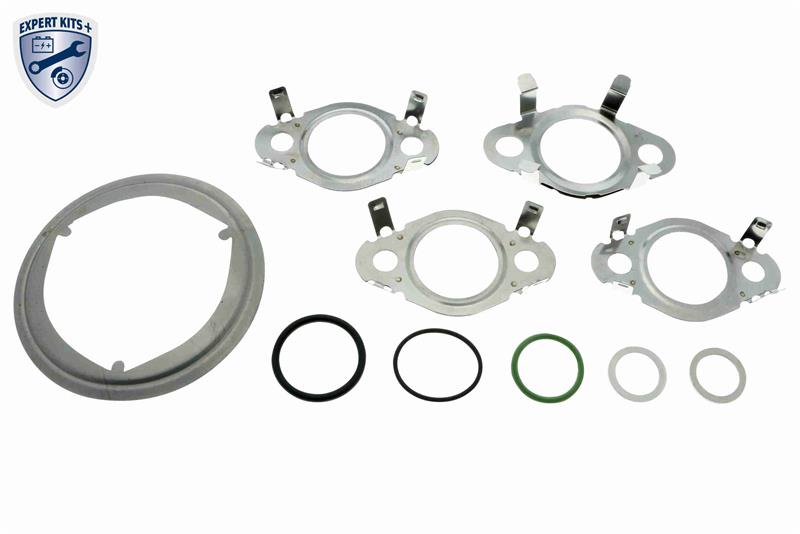Set garnituri de evacuare - VEMO