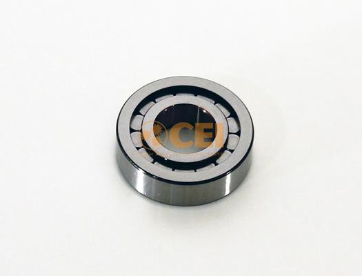 Rulment - CEI