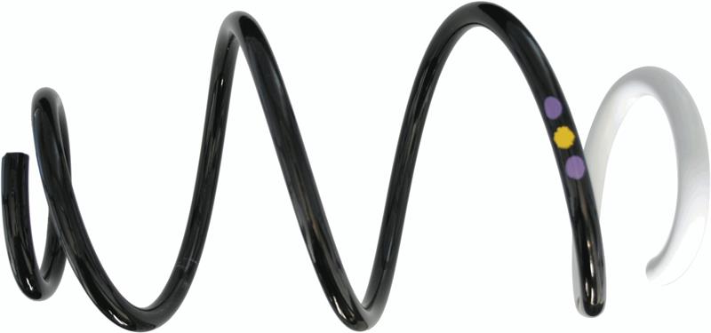 Arc elicoidal - SACHS