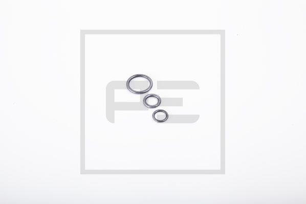 Kit de reparare a compresoarelor de aer comprimat - PE Automotive