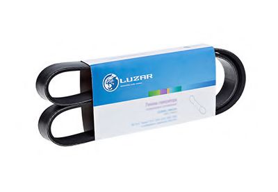 GATES V-Ribbed Belts 12456679 - GATES