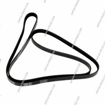 CONTINENTAL CTAM V-Ribbed Belts 4443625 - CONTINENTAL CTAM
