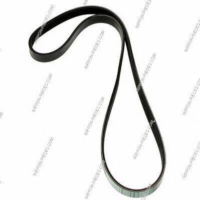 CONTINENTAL CTAM V-Ribbed Belts 4442932 - CONTINENTAL CTAM