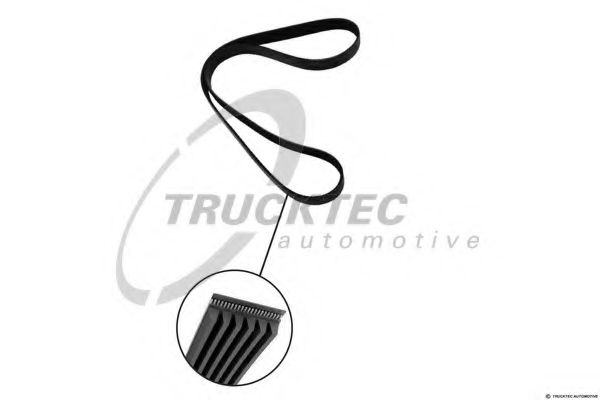 GATES V-Ribbed Belts 12456896 - GATES