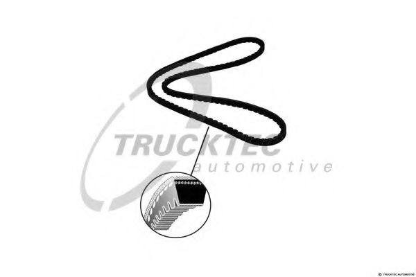 CONTINENTAL CTAM V-Belt 4444909 - CONTINENTAL CTAM